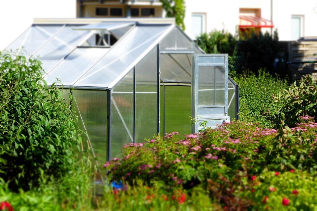 A greenhouse offers the perfect space to grow plants in optimum conditions