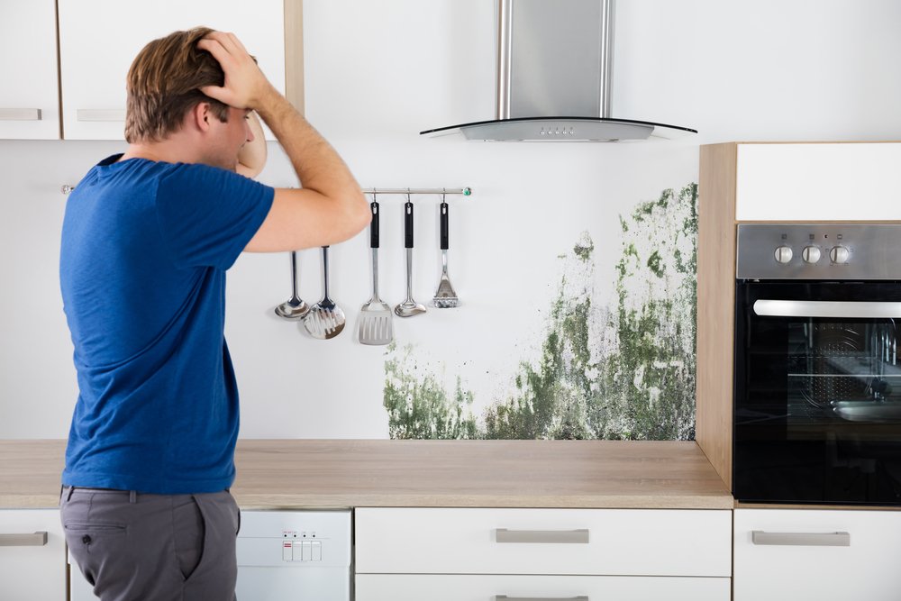 Damp and mouldy wall in a kitchen